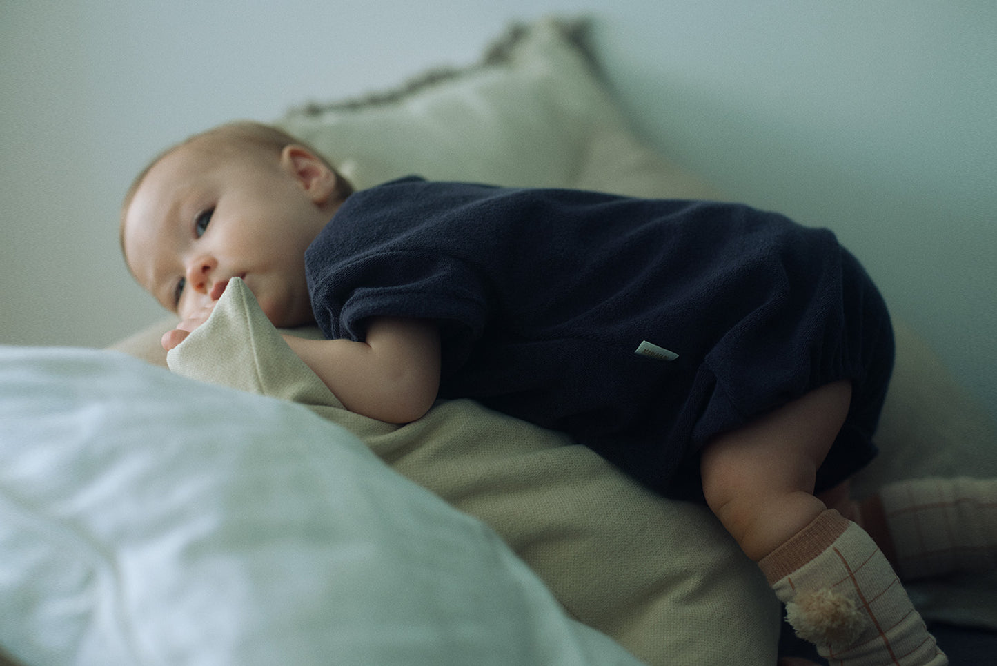2026SS/lullaby half bear navy春夏小熊家居服深藍色帽子可拆卸