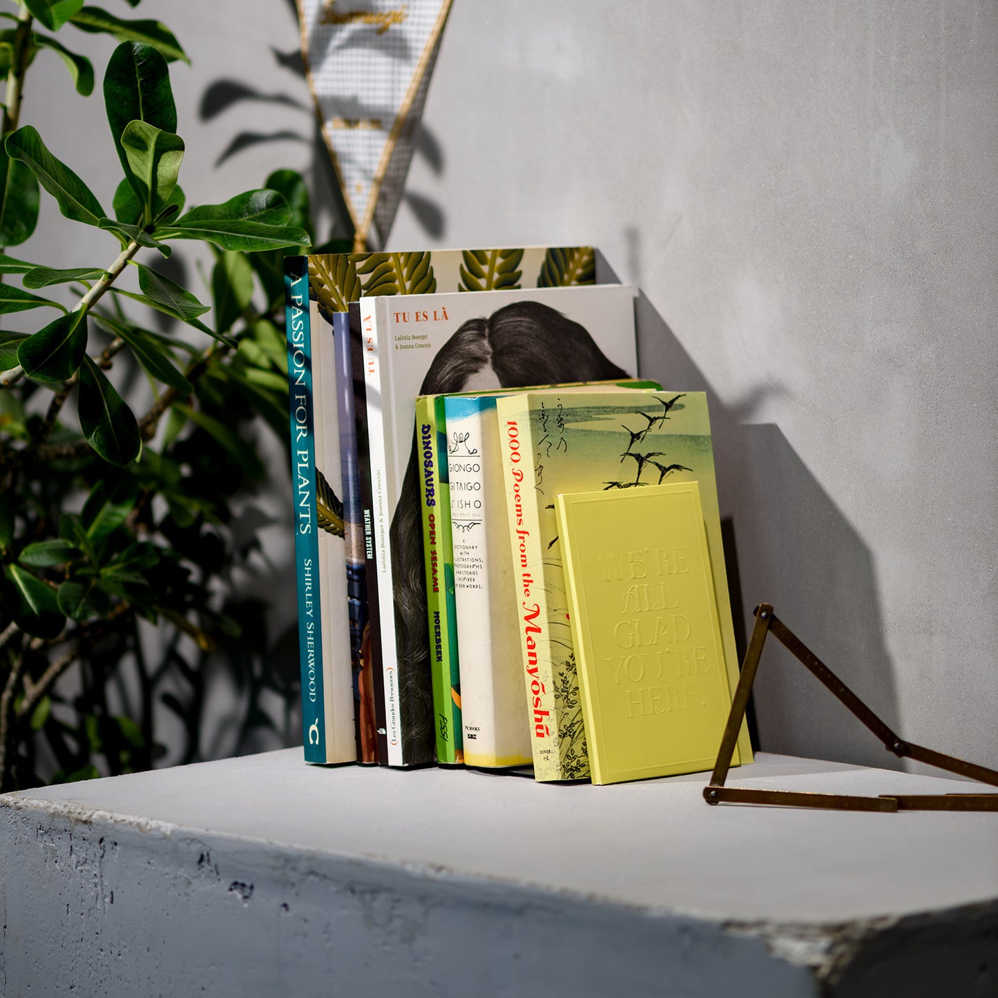 【2025AW】monthly card hope月齡卡套裝紀錄拍照必備