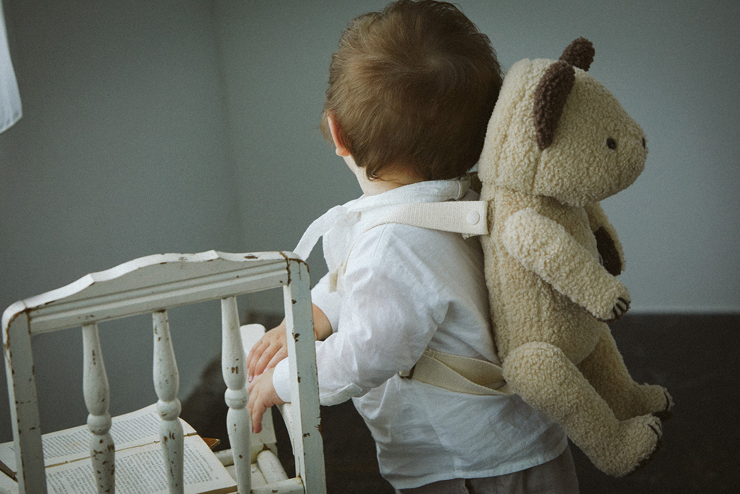 Multifunctional stuffed animalBFF+ 4 bear almond多功能毛絨熊背包娃娃