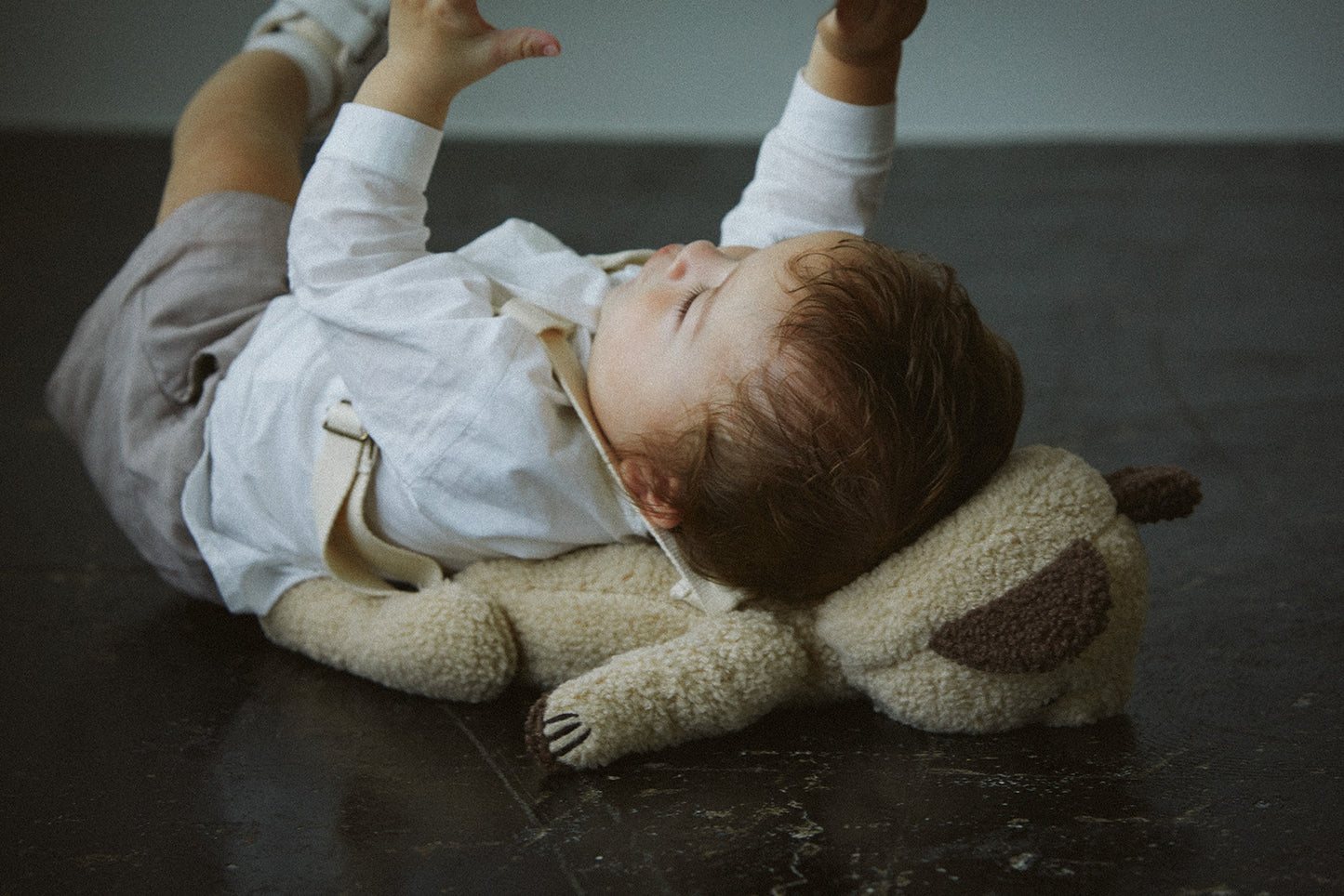 Multifunctional stuffed animalBFF+ 4 bear almond多功能毛絨熊背包娃娃