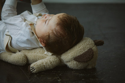 Multifunctional stuffed animalBFF+ 4 bear almond多功能毛絨熊背包娃娃